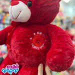 عروسک خرس قرمز برای ولنتاین